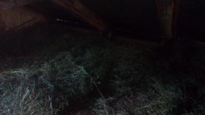 Заготовка сена кроликам
