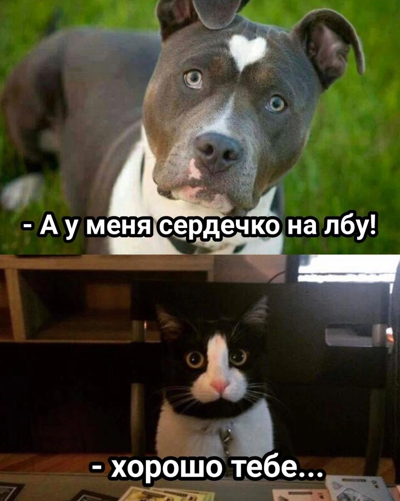 Лучше сердечко на лбу