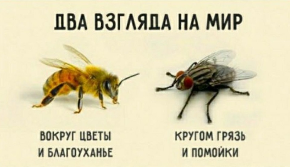 Два взгляда на мир