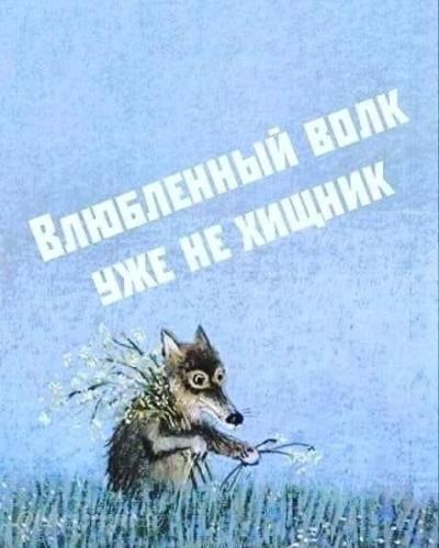 Влюблённый вол уже не хищник