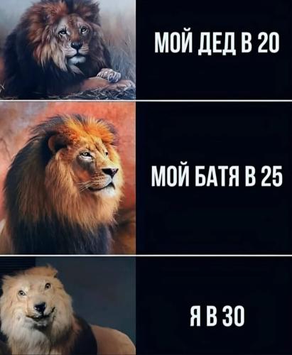 Я в 30 лет